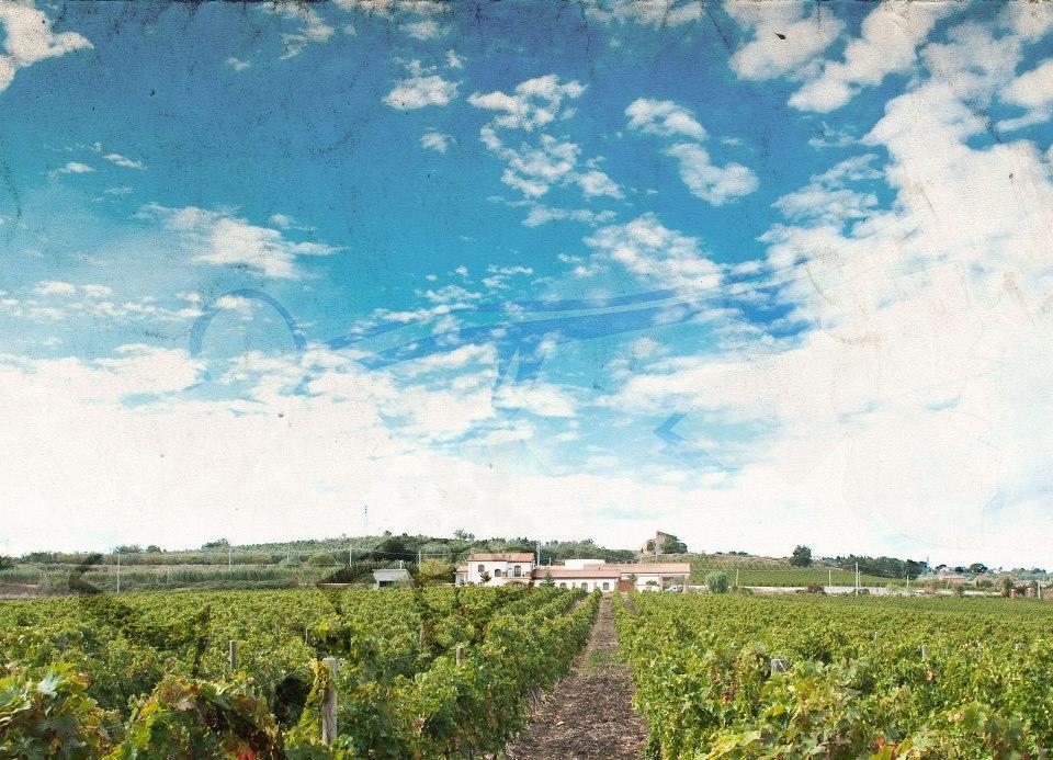 I Dolci Grappoli Villa Larino Kültér fotó